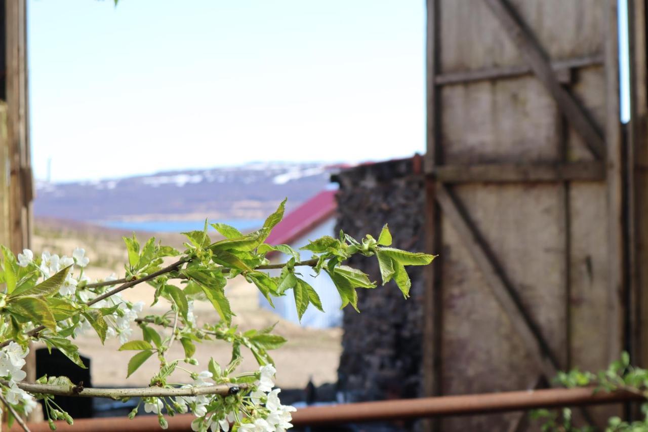Country Hotel Heydalur Látur المظهر الخارجي الصورة